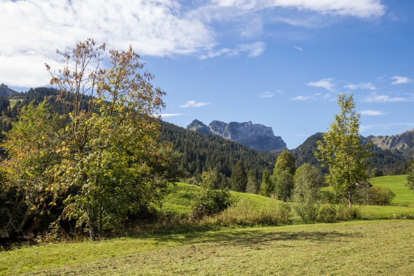 Sur la plus grande montagne de poudingue d’Europe