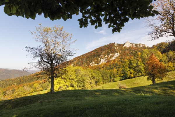 Impressionen in den Freibergen