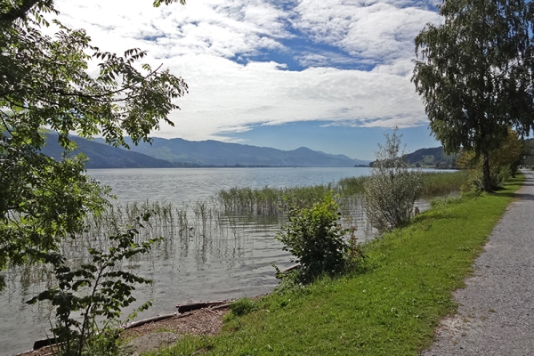 Hindernisfreier Uferweg