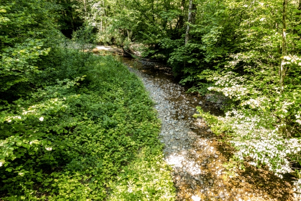 Auf und ab im Tössbergland