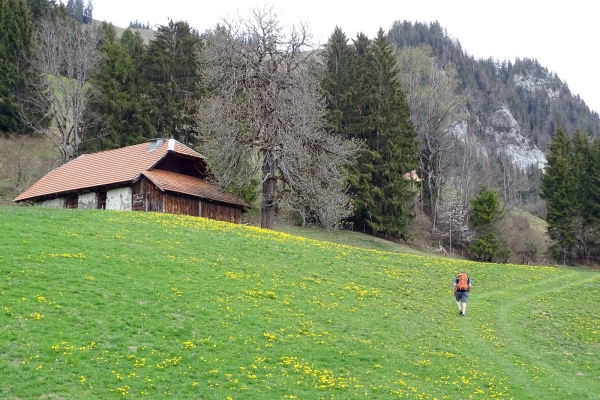 Sentiero delle grotte e terme di Simmental