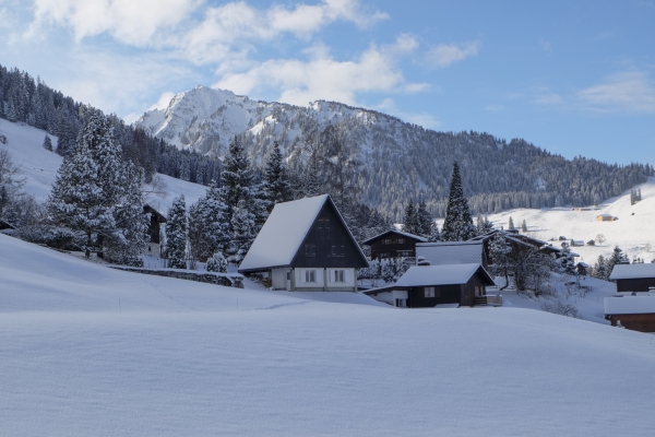 Im Seilbahnland Nidwalden