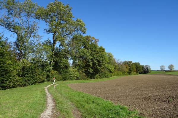 Beschauliche Landschaften im Mittelland