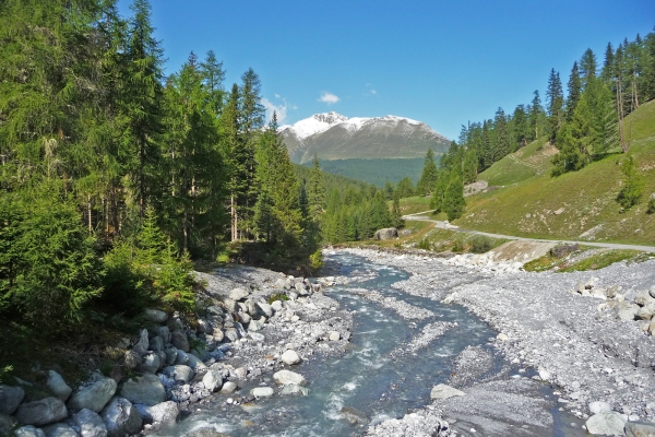 Zu den Wildtieren im Nationalpark