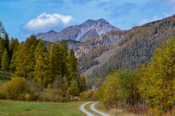 Escursione fluviale lungo il Rom GR