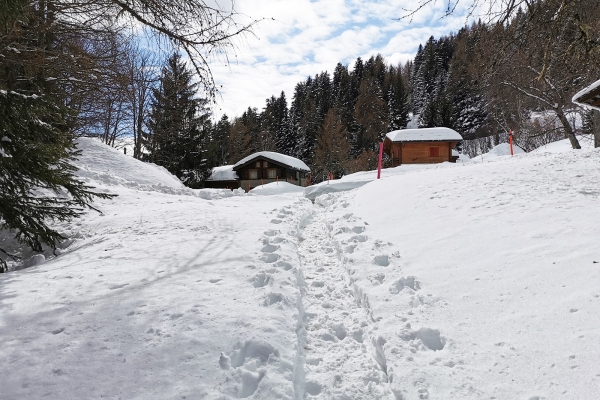 Winterliche Tour im Tal der Salentse