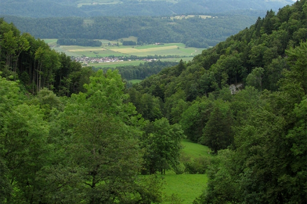 Regennass dans le Jura soleurois