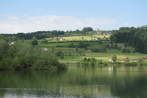 Baldeggersee 