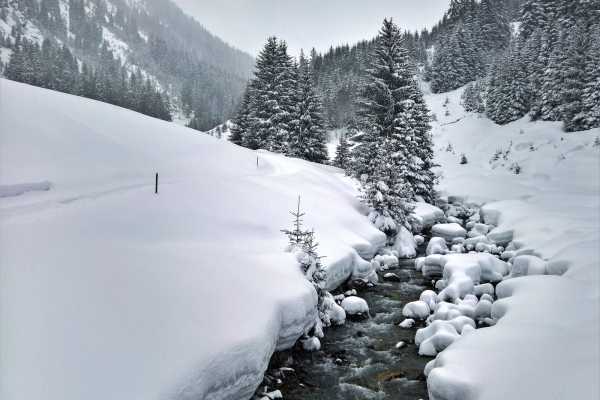 Höhenwege in der Surselva