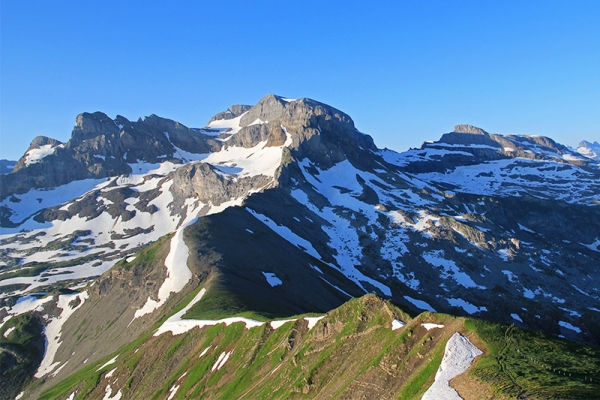 Auf der Schneckenspur