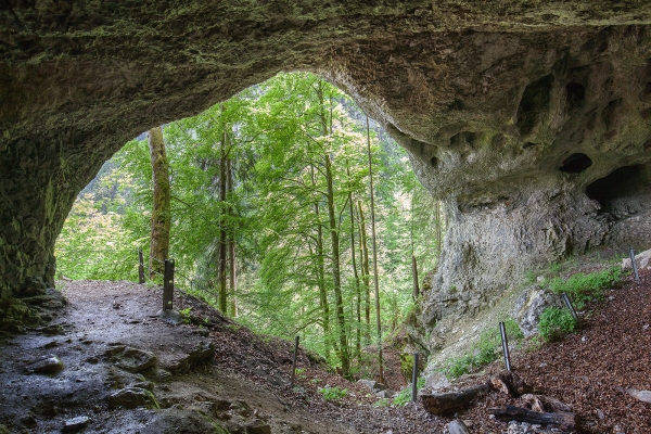 Hinauf zum Mont d’Or