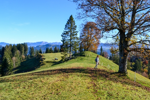 L’Emmental sous son plus beau jour