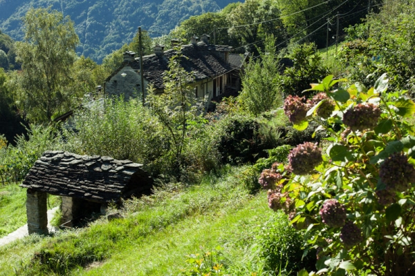 Saumweg im versteckten Tal 