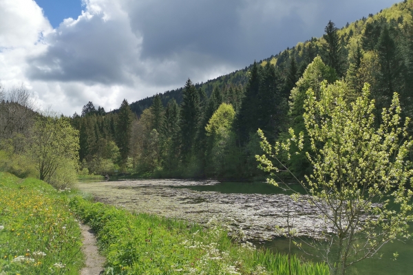 Una gola selvaggia nelle Franches-Montagnes