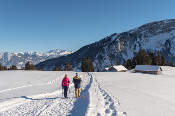 Un air d’Arctique dans le Toggenbourg