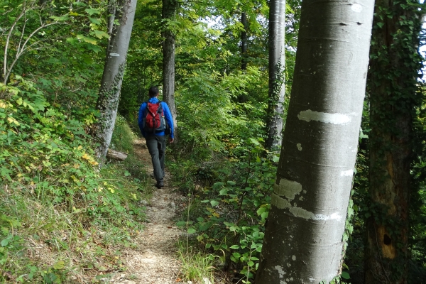 Balade au sommet à Delémont