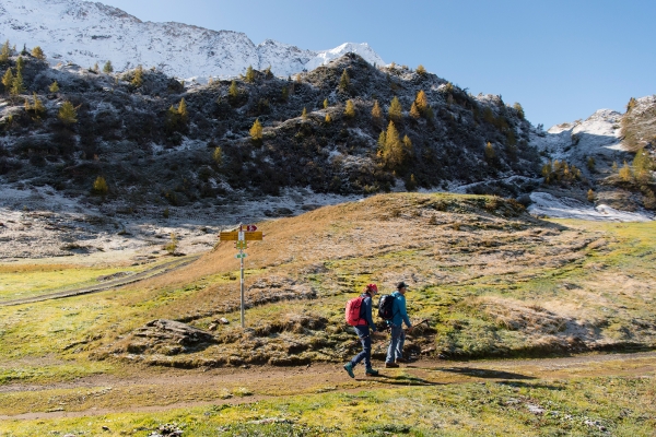 Larici fiammeggianti nella Valle Bedretto