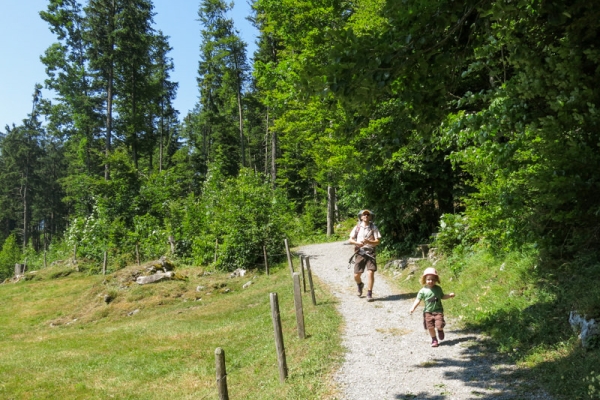 Dem Brünig entgegen 4