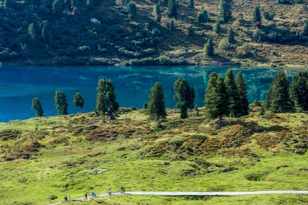 Tour des quatre lacs au cœur de la Suisse