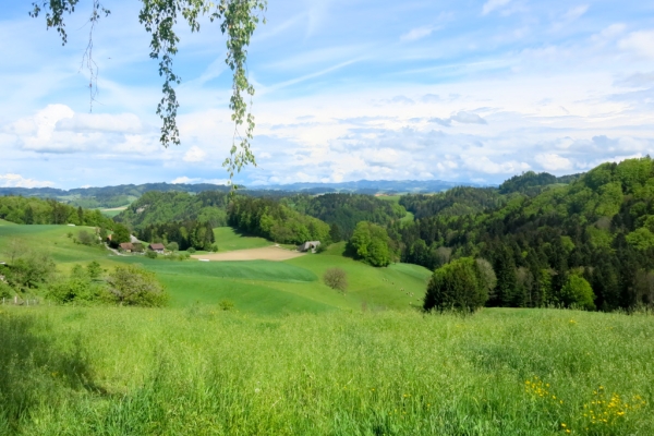 Emmentaler Sandsteinbrüche