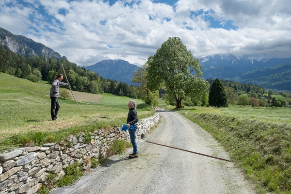 Beschaulicher Spaziergang im Domleschg