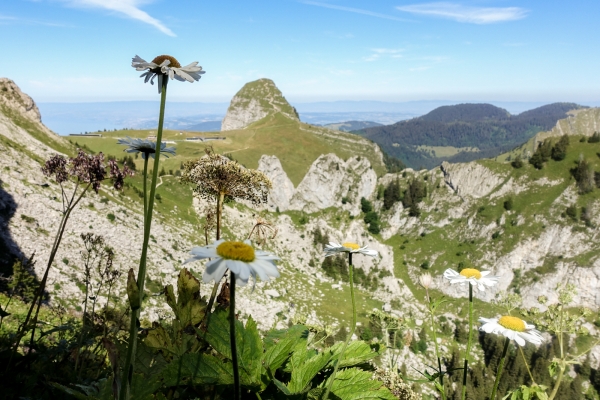 Panoramawanderung zwischen Freiburg und Waadt