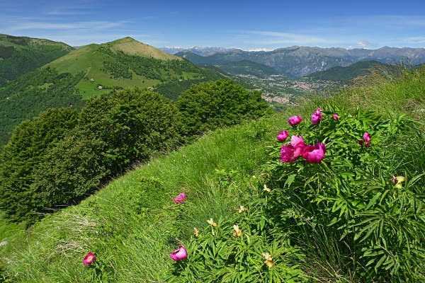 Aria di primavera nel sud del Ticino