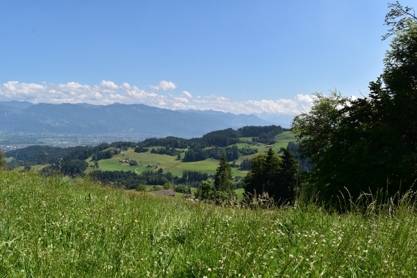 Durchs hügelige Appenzeller Vorderland