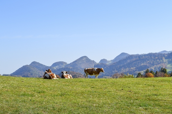 Unterwegs im Schwarzbubenland