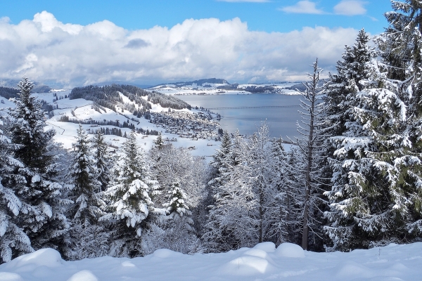 Schneeschuhtour Spital