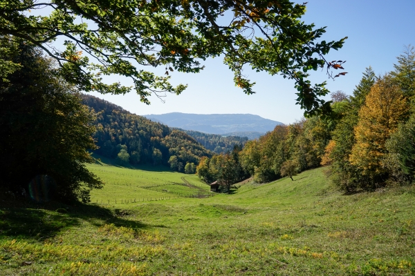 Le Welschgätterli, région jura soleurois