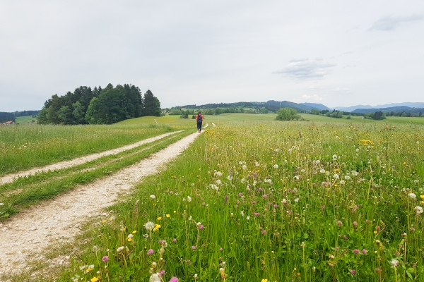 Fonti energetiche nel Giura bernese