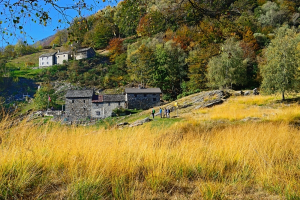 Nel bosco autunnale di Lodano