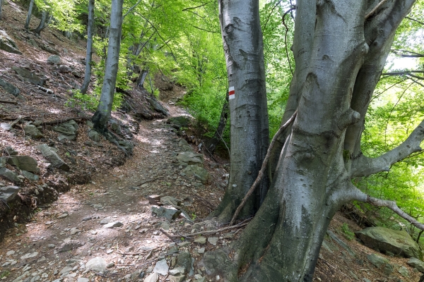 Vers Tesserete par la vallée du Vedeggio