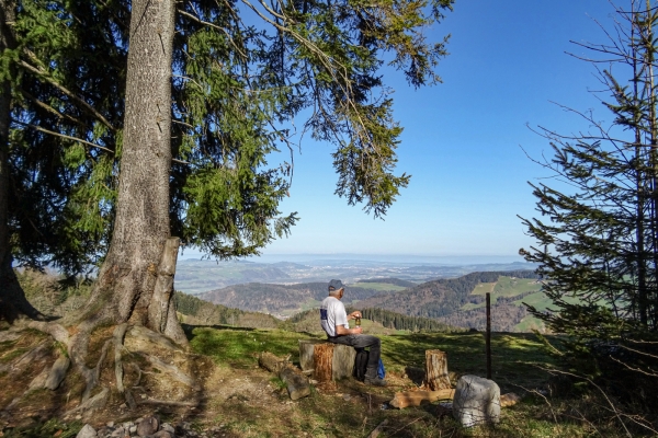 Fernsicht und Gipfelschau im Voralpengebiet