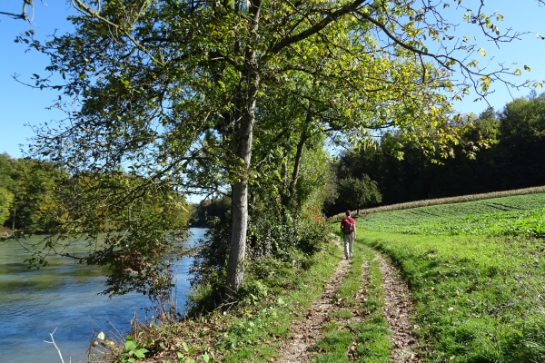 Paisibles paysages du Mittelland