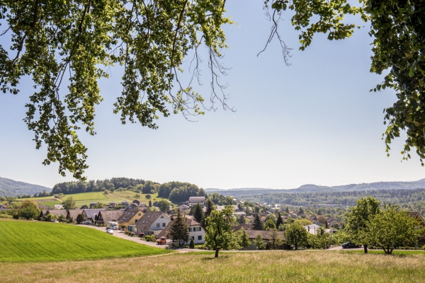 Geschichtsträchtiger Panoramaberg