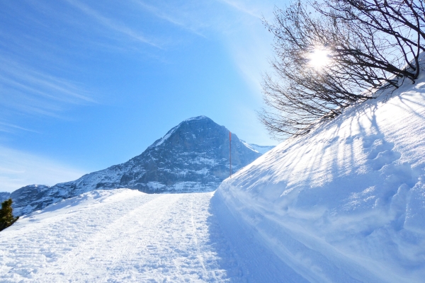 Dem Eiger entgegenwandern