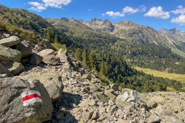 Wilde Wasser auf der Via Albula