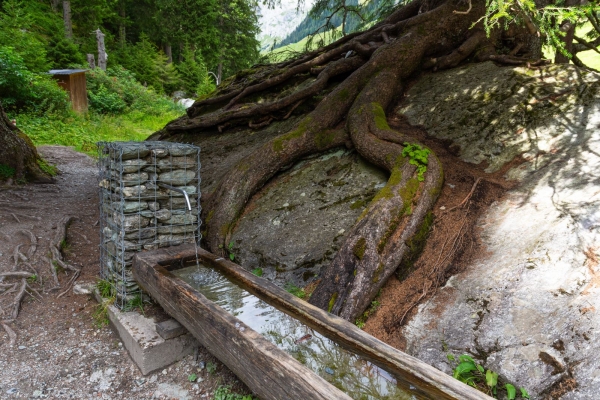 Einzigartiges Hochtal in der Surselva