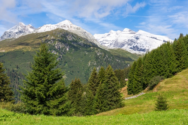 Vallée d’altitude atypique dans la Surselva