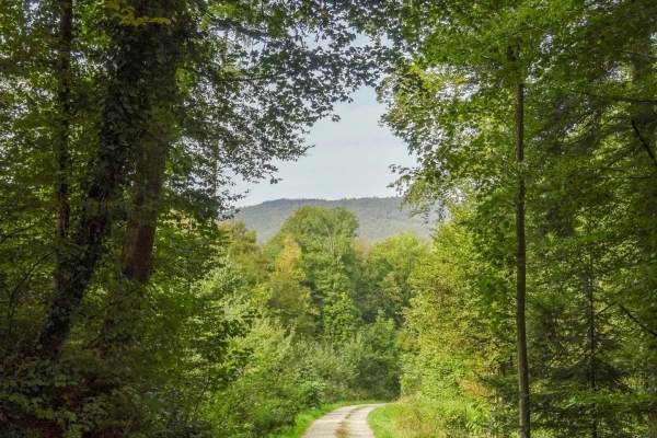 Wanderung auf die Gisliflue im Jurapark Aargau