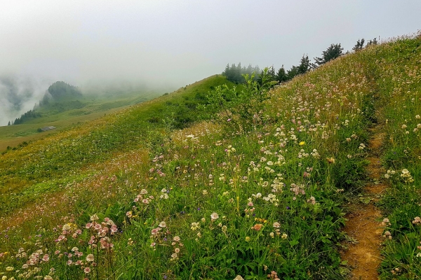 Sommets méconnus en Gruyère