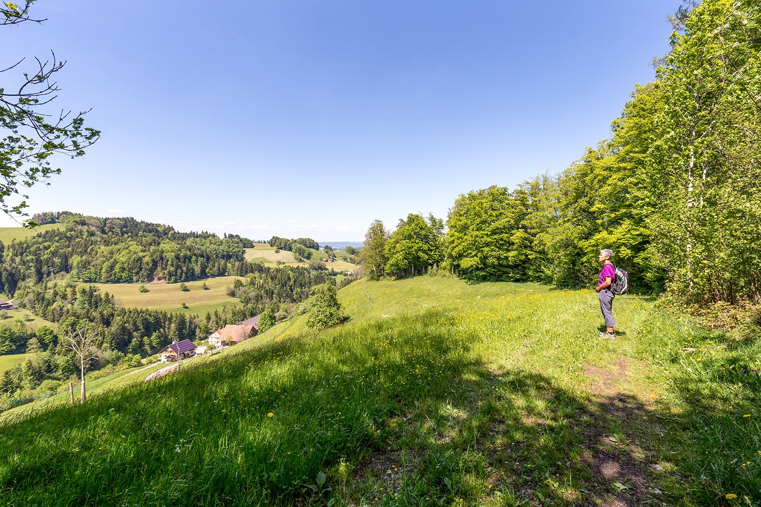 Peu avant Fischingen: une vue panoramique jusqu’à l’infini.
Photos: Daniel Fleuti