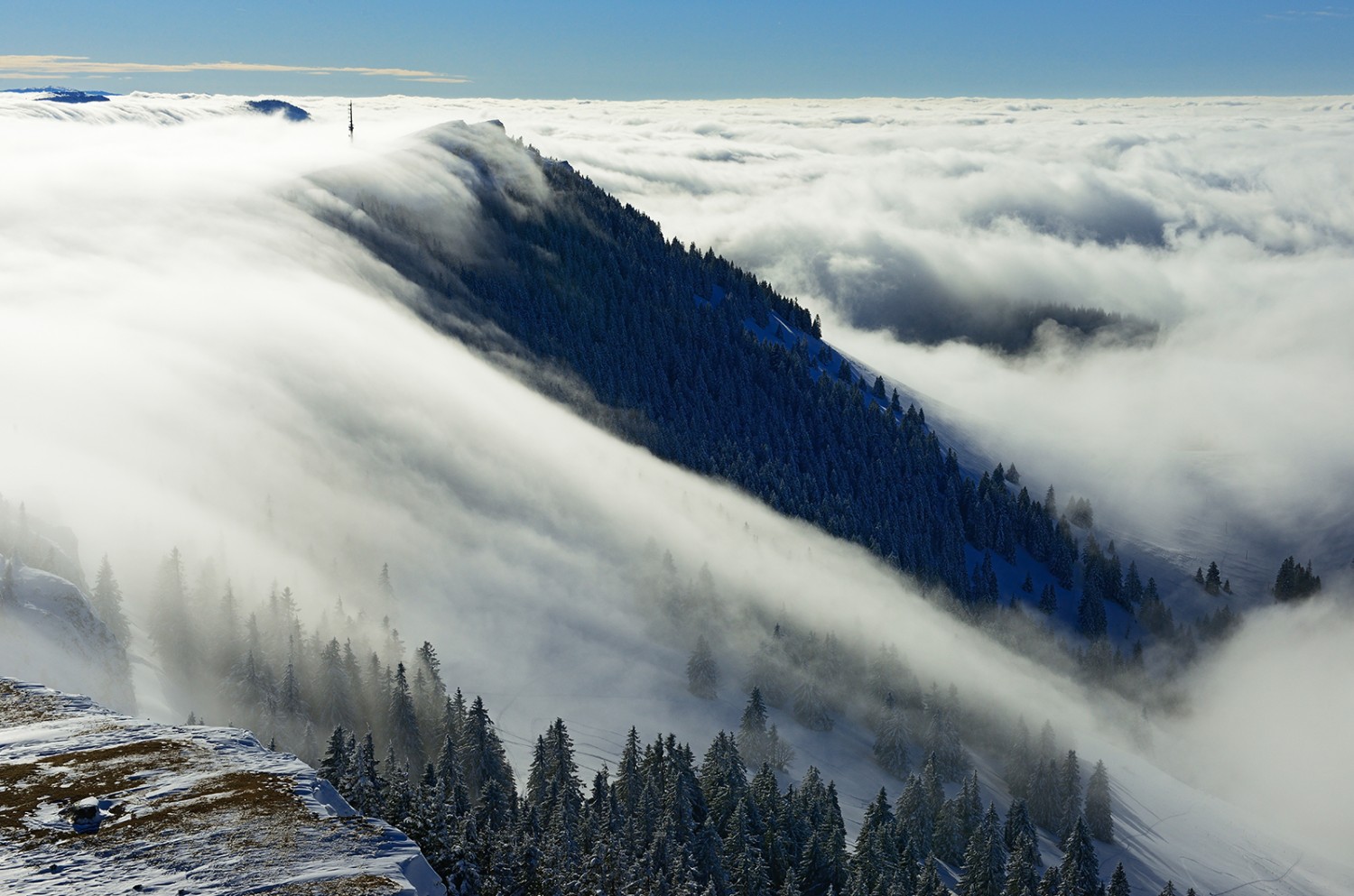 Auf dem Grat des Chasseron. Bild: Natur-Welten