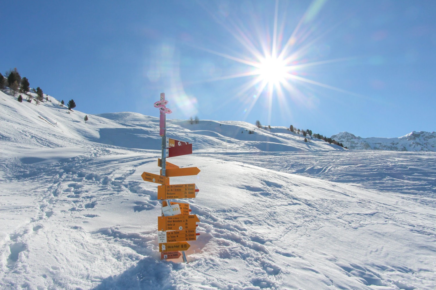 Walliser Sonne und reichlich Schnee. Bild: Alexandra Blatter