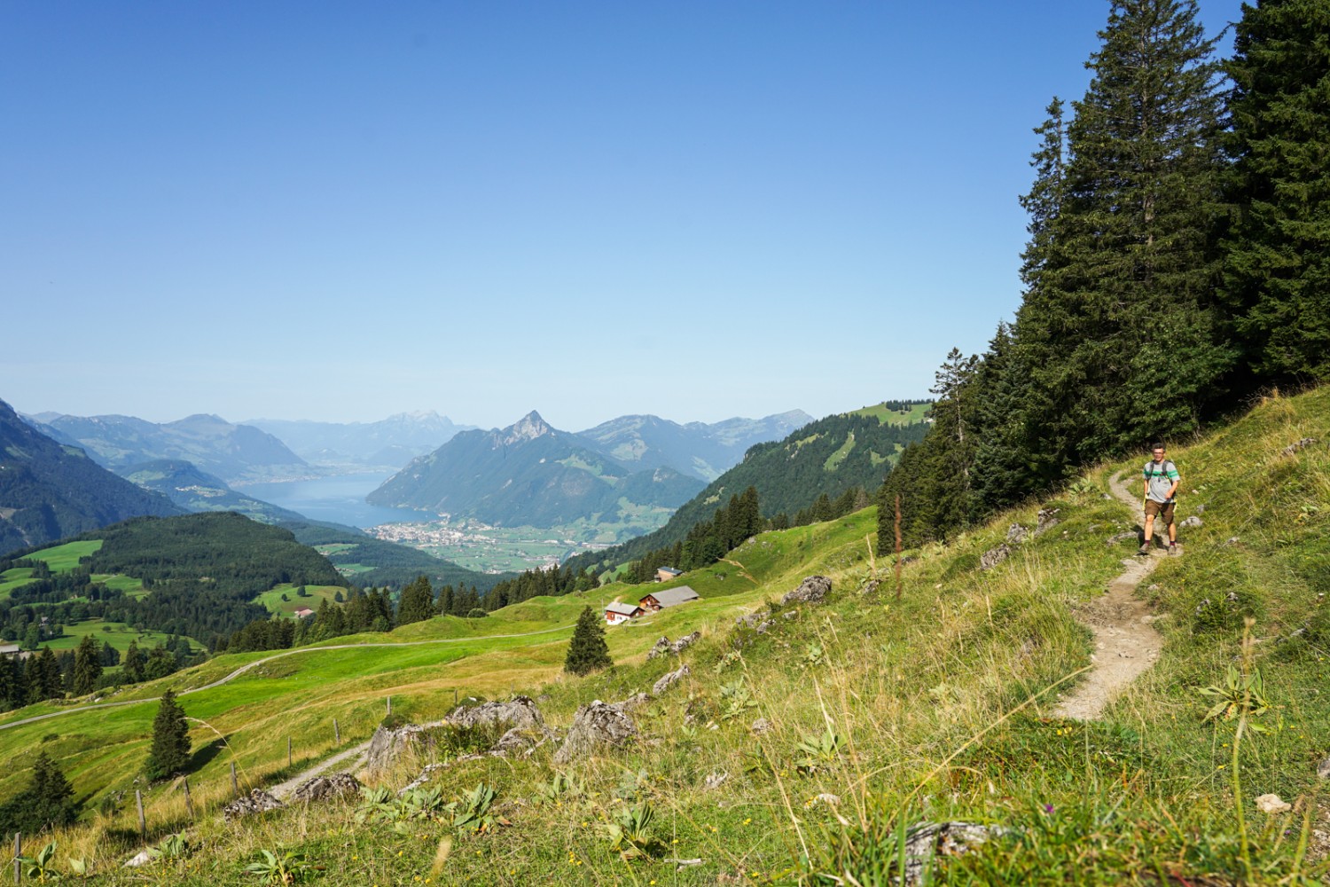 Der Vierwaldstättersee mit Brunnen und die Rigi von Sternenegg aus gesehen. Bild: Reto Wissmann