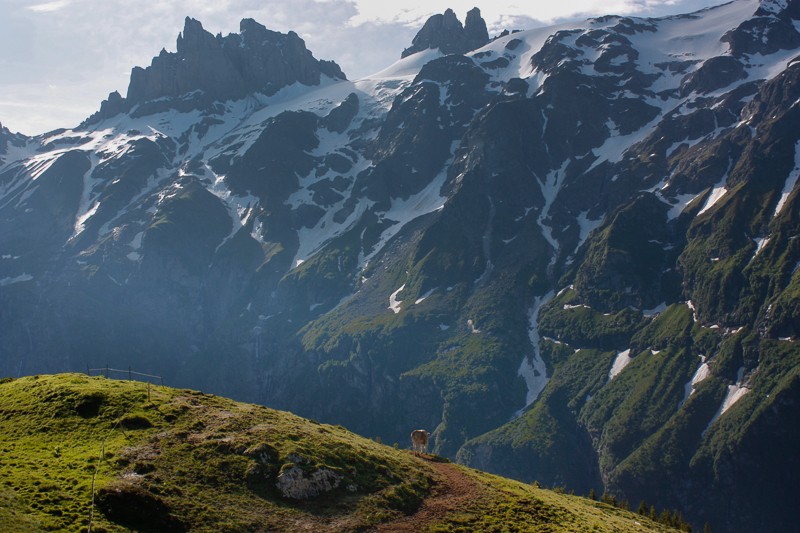 Auf der Fürenalp mit Blick in Richtung Gross und Klein Spannort. 