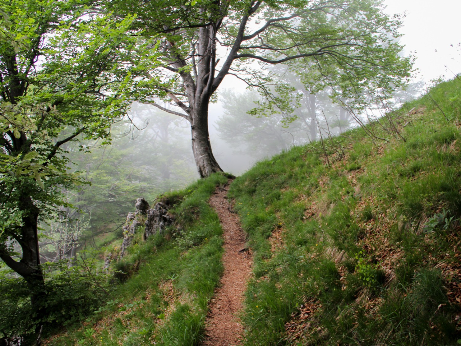 Il terreno incantato testimonia i capricci della Strega del Maltempo. Foto: Andreas Sommer