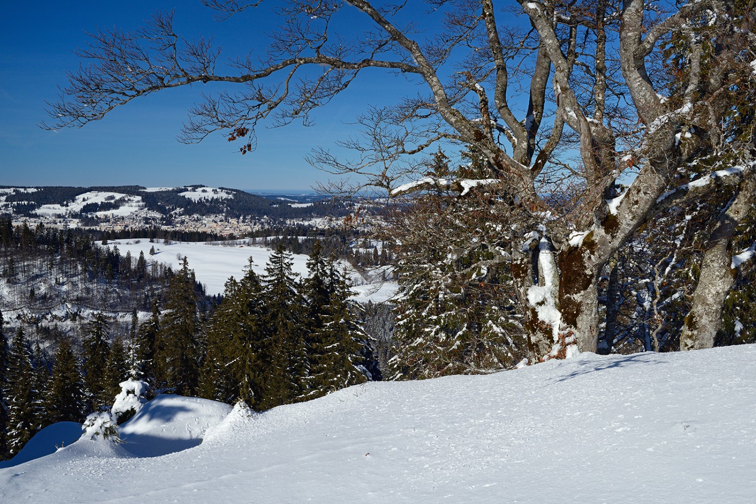 Gegen Norden ist La Chaux-de-Fonds sichtbar. Bild: natur-welten.ch